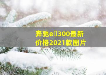 奔驰e 300最新价格2021款图片